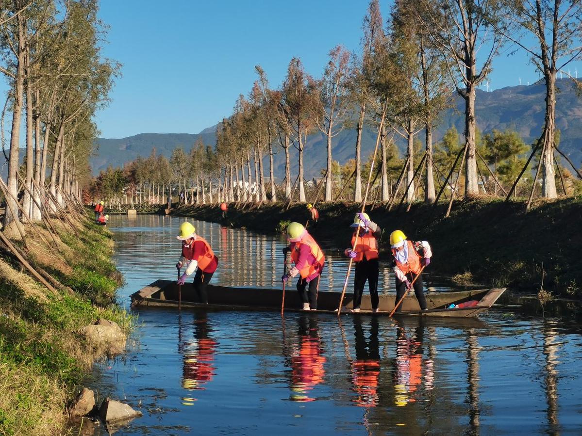 洱源县洱海流域湿地公园保护与提升改造项目通过竣工验收