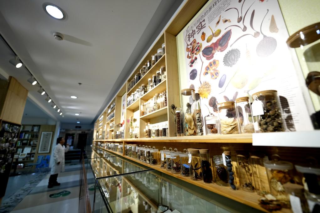 国家野生植物库辰山中心