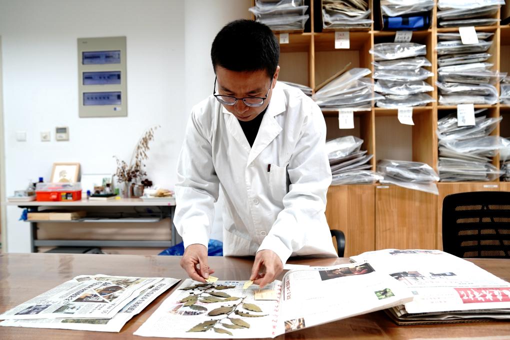 国家野生植物库辰山中心