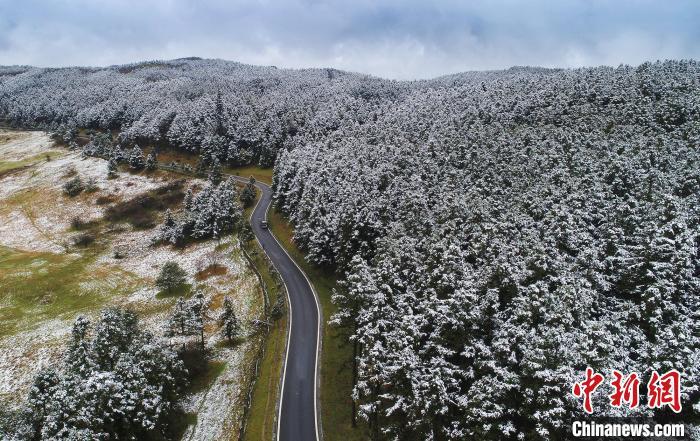 小雪节气的打开方式：为啥此时要腌菜？