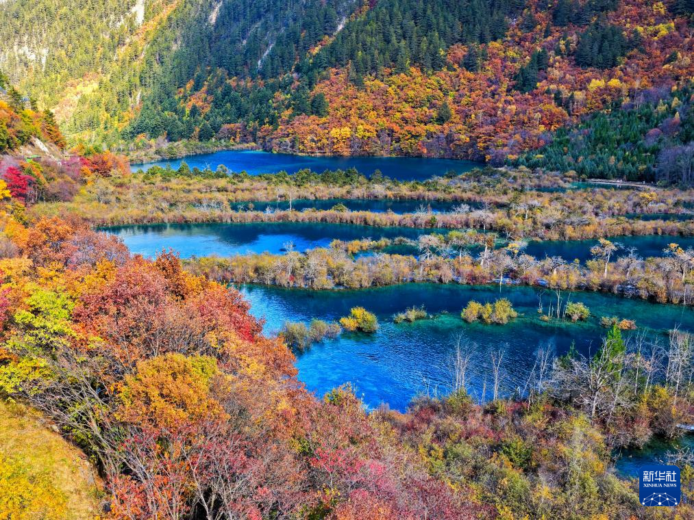 这个“沟”撑起百亿文旅产业