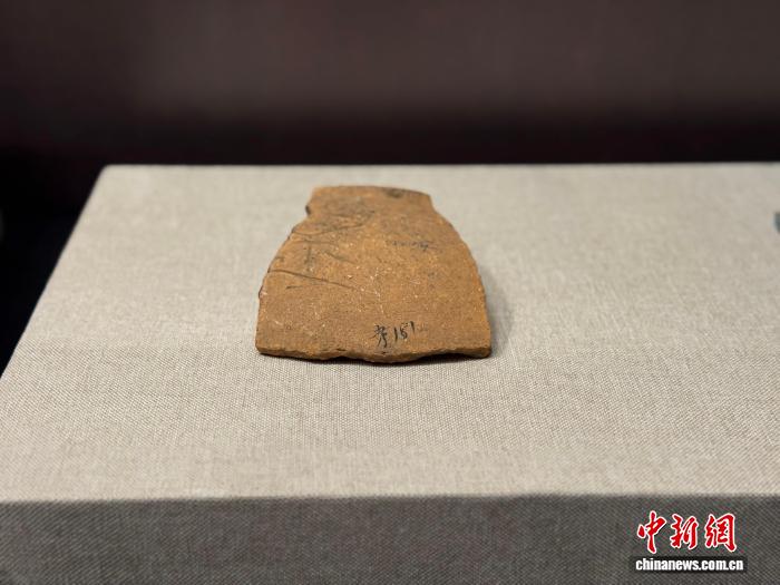 汉魏晋壁画墓出土文物亮相辽博