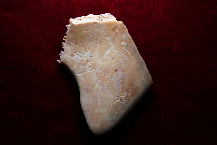 陕西推动文物保护与活化利用新观察