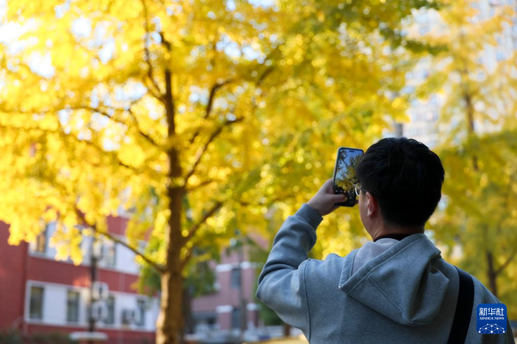 各地初冬画卷美不胜收