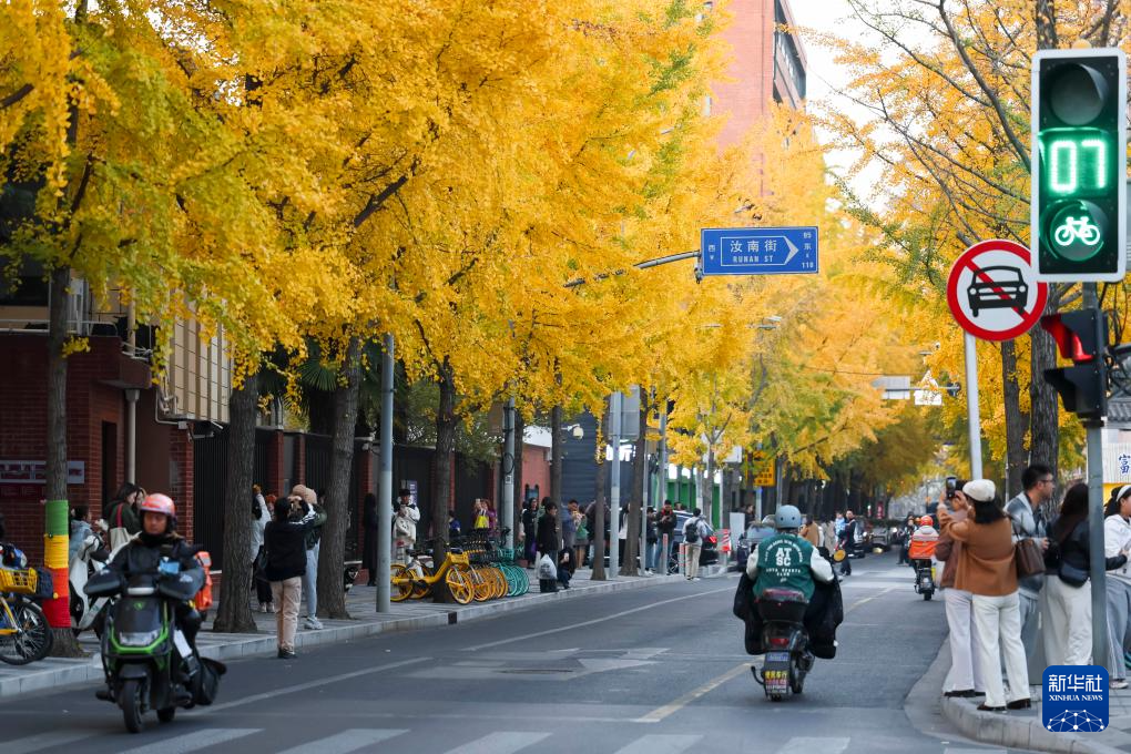 各地初冬画卷美不胜收