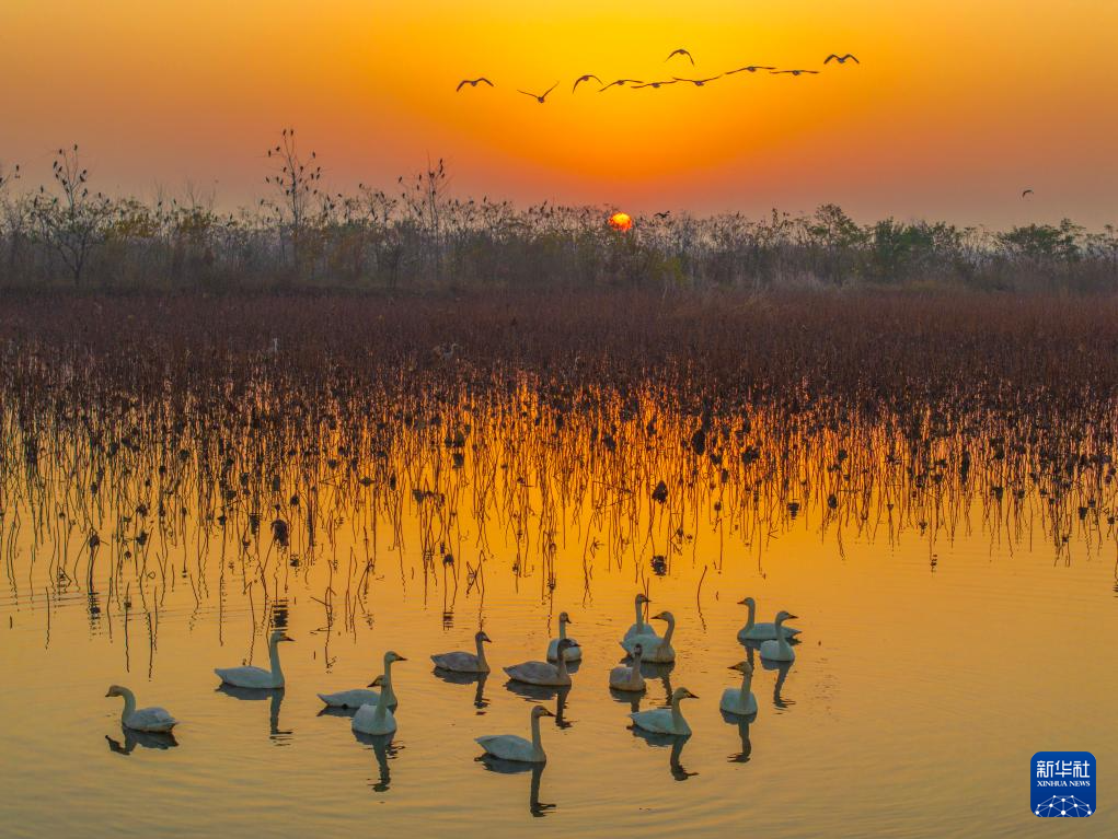 各地初冬画卷美不胜收