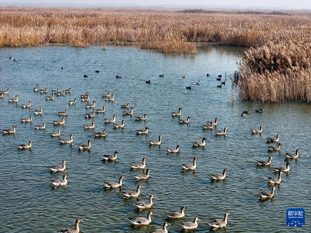 各地初冬画卷美不胜收