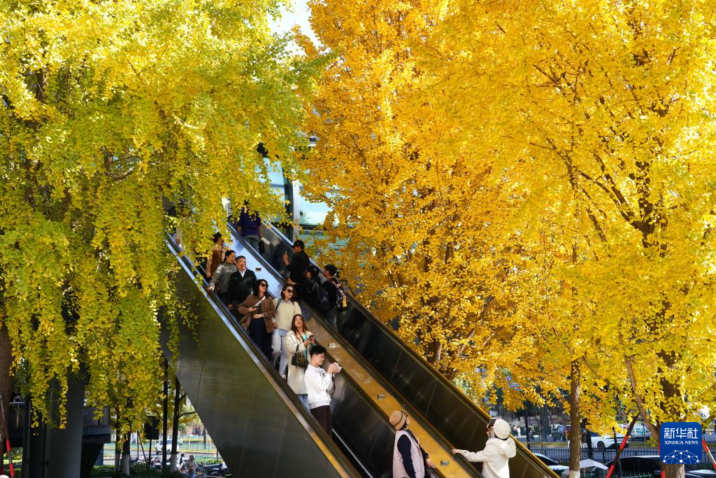 各地初冬画卷美不胜收