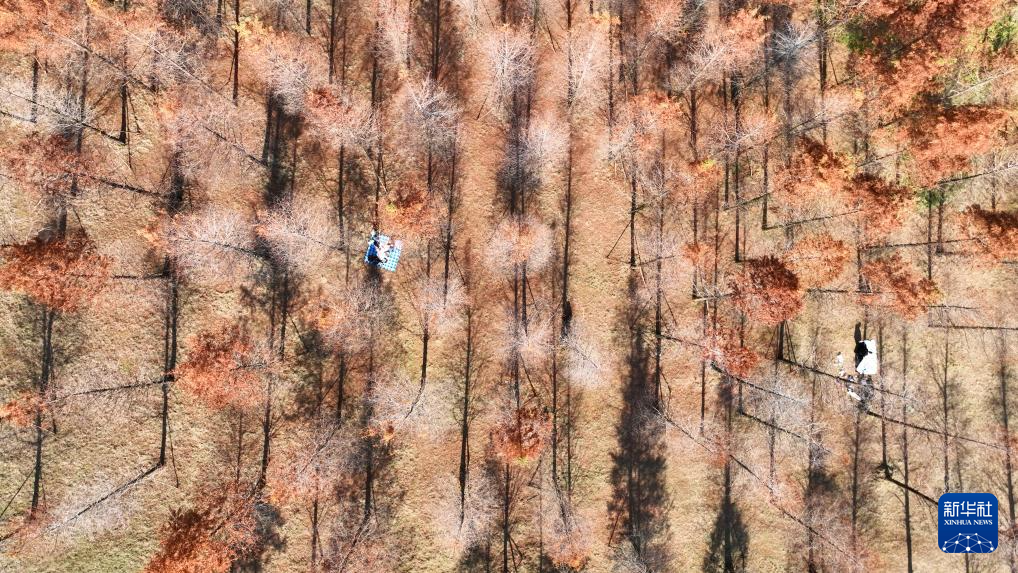 各地初冬画卷美不胜收