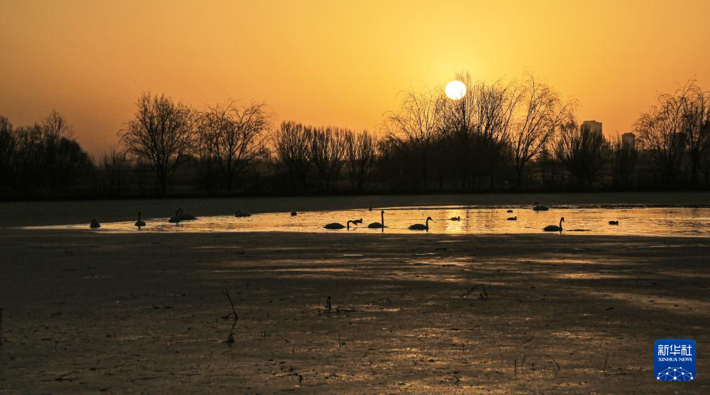 各地初冬画卷美不胜收