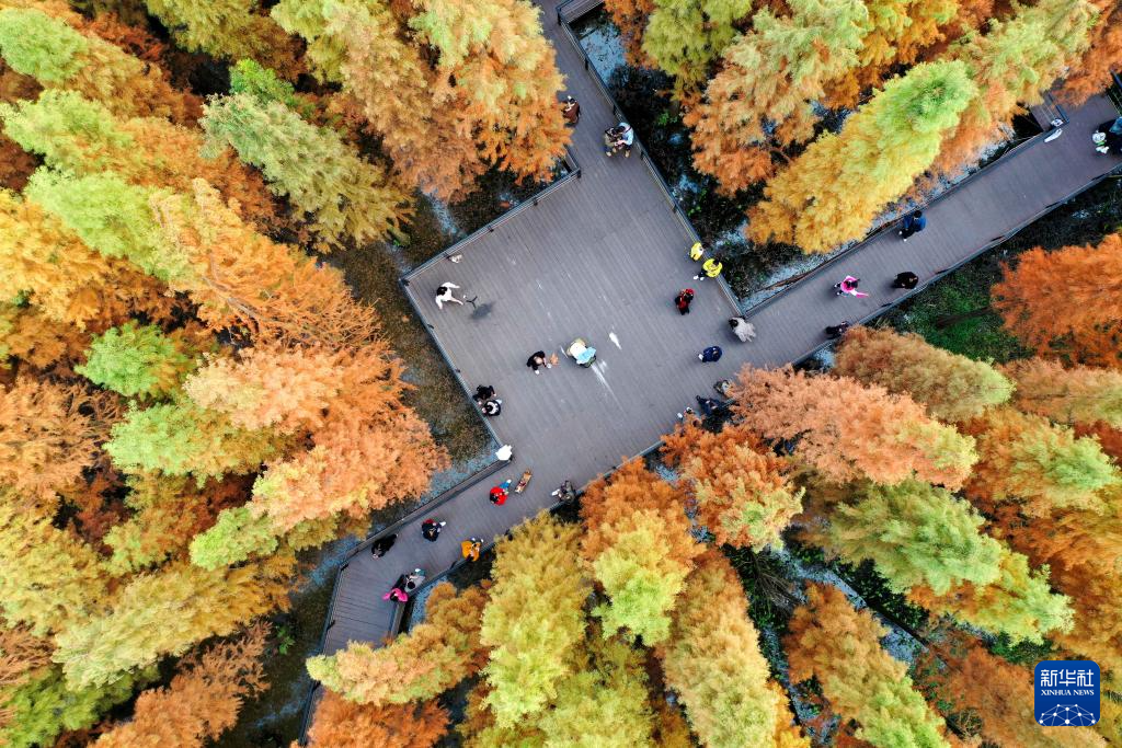各地初冬画卷美不胜收