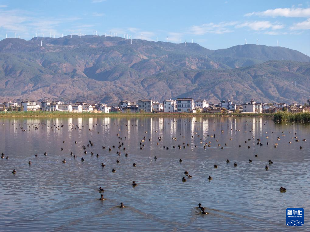 各地初冬画卷美不胜收