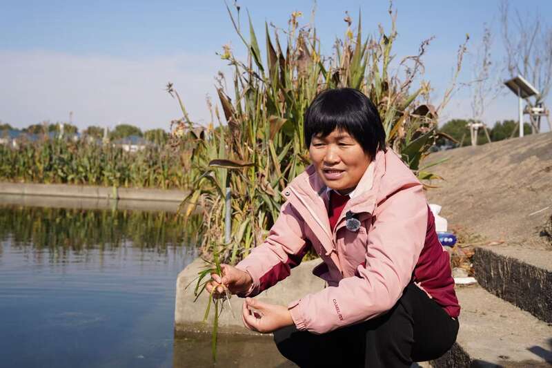 15个西湖大小的水域重现碧波