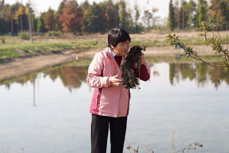 15个西湖大小的水域重现碧波