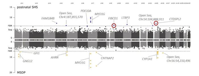 二手烟正在“修改”你家孩子的DNA