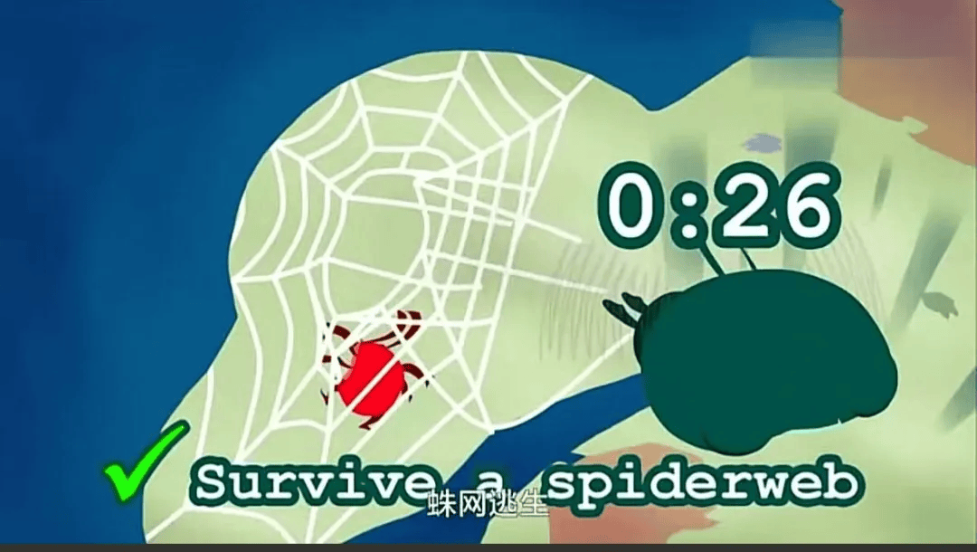 34岁韦东奕官宣喜讯