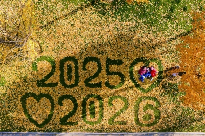 银杏落叶寄金陵 翩跹作画皆成景