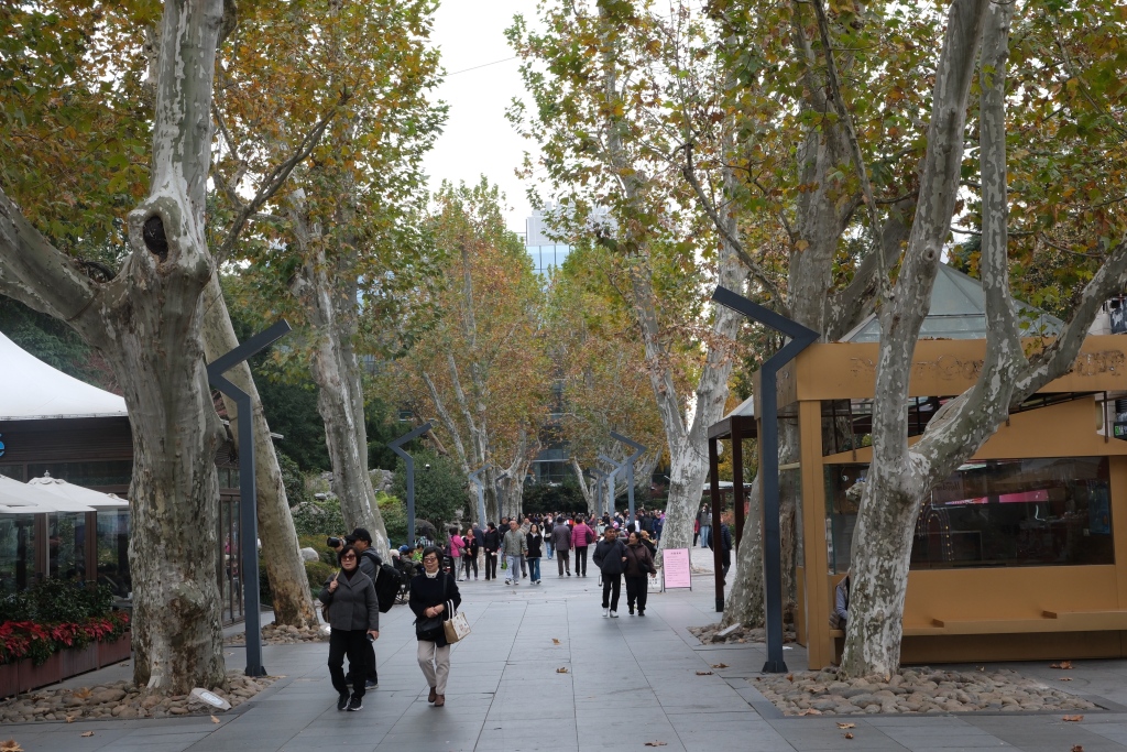 上海静安公园将开启9个月的闭园改造