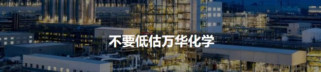 中国经济的未来