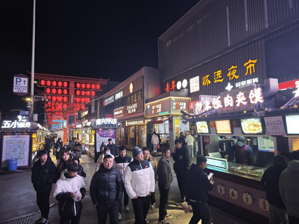 申遗成功的西夏陵带旺西夏区