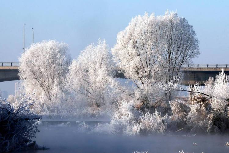 朝阳：雾临凌河岸 树树凇花叠