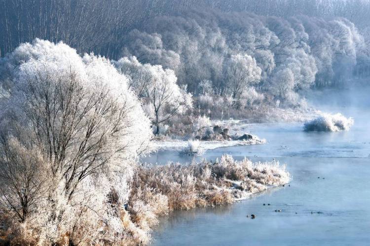 朝阳：雾临凌河岸 树树凇花叠