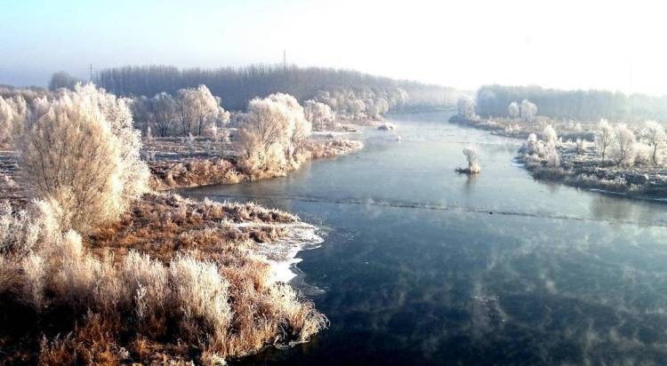 朝阳：雾临凌河岸 树树凇花叠