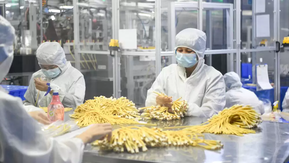 海阔千帆竞 潮涌自贸港