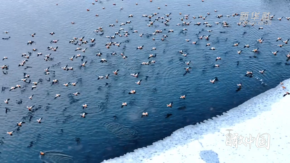 内蒙古：雪落化诗