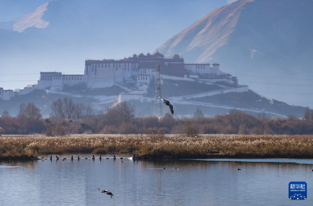 世界海拔最高的城市天然湿地