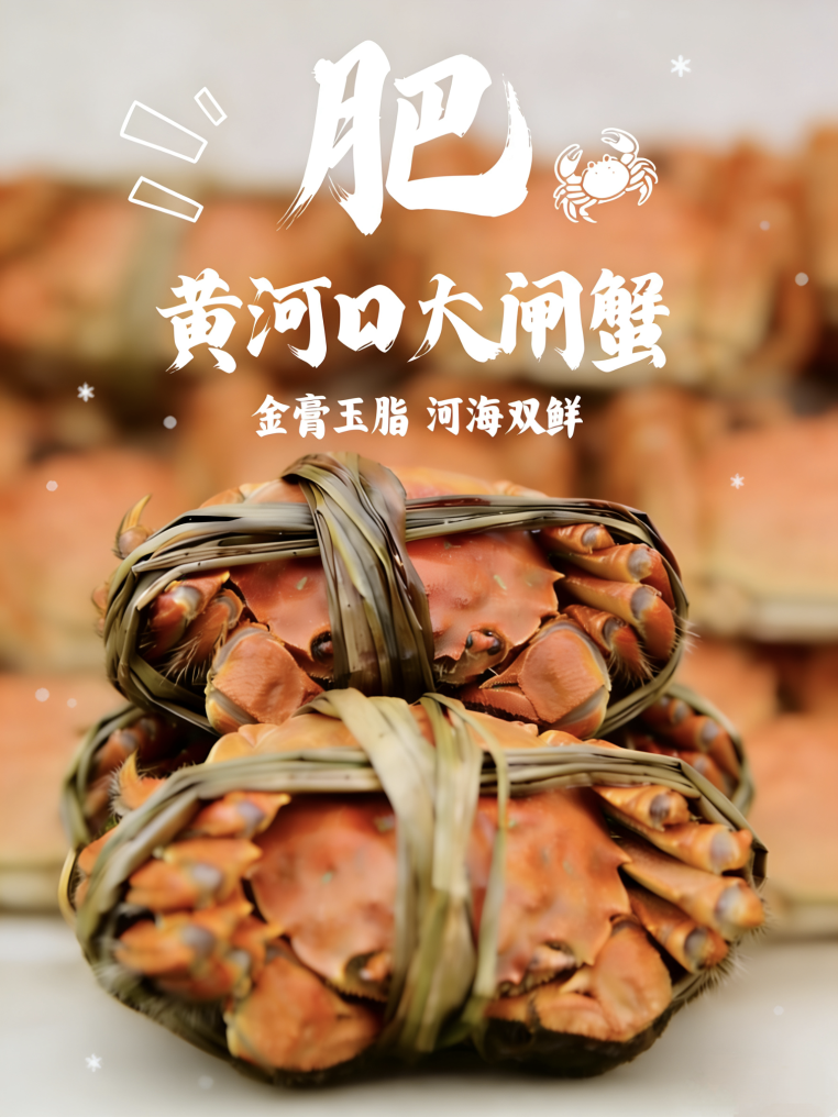 冬日丰收图鉴！