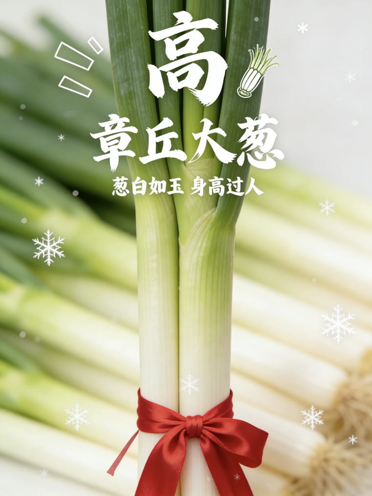 冬日丰收图鉴！