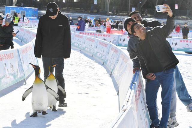 陶然亭冰雪嘉年华明起试营业